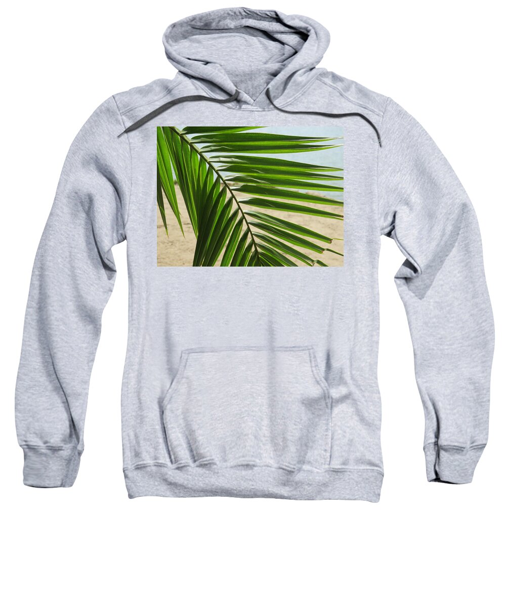 Palm Sweatshirt featuring the photograph Palm Tree Frond by Raymond Fernandez