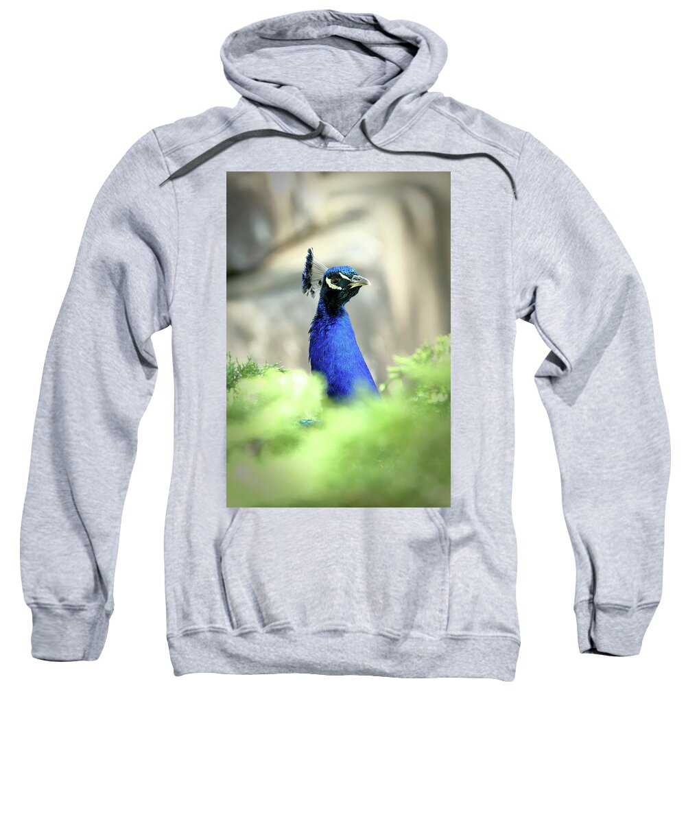 Bird Sweatshirt featuring the photograph Peacock-A-Boo by Lens Art Photography By Larry Trager