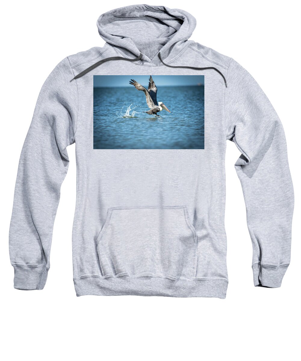 Pelican Sweatshirt featuring the photograph Pelican coming for Landing by George Kenhan