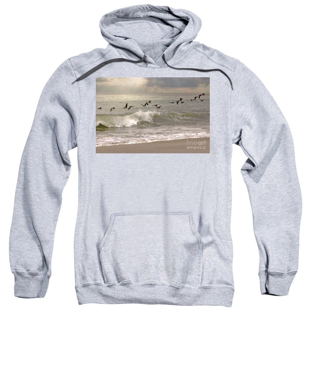 Brown Pelican Sweatshirt featuring the photograph Pelican Flight by Natural Focal Point Photography