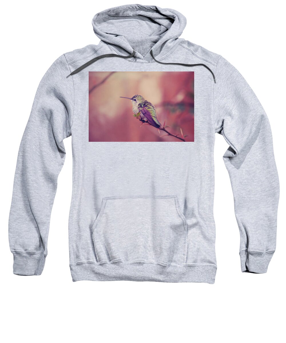 Hummingbirds Sweatshirt featuring the photograph Perch by Laurie Search