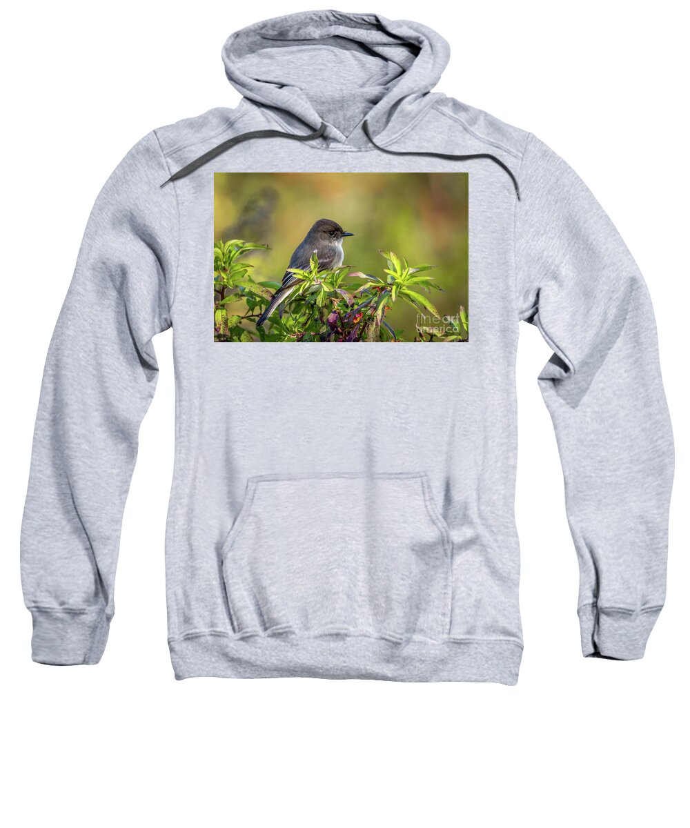 Phoebe Sweatshirt featuring the photograph Phoebe and Croton by Tom Claud