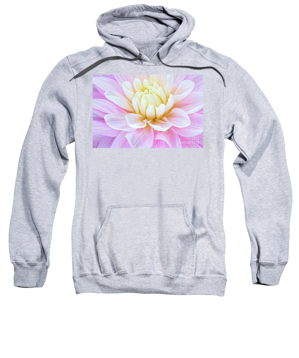 Dahlias Sweatshirt featuring the photograph Pillow Dreams by Marilyn Cornwell