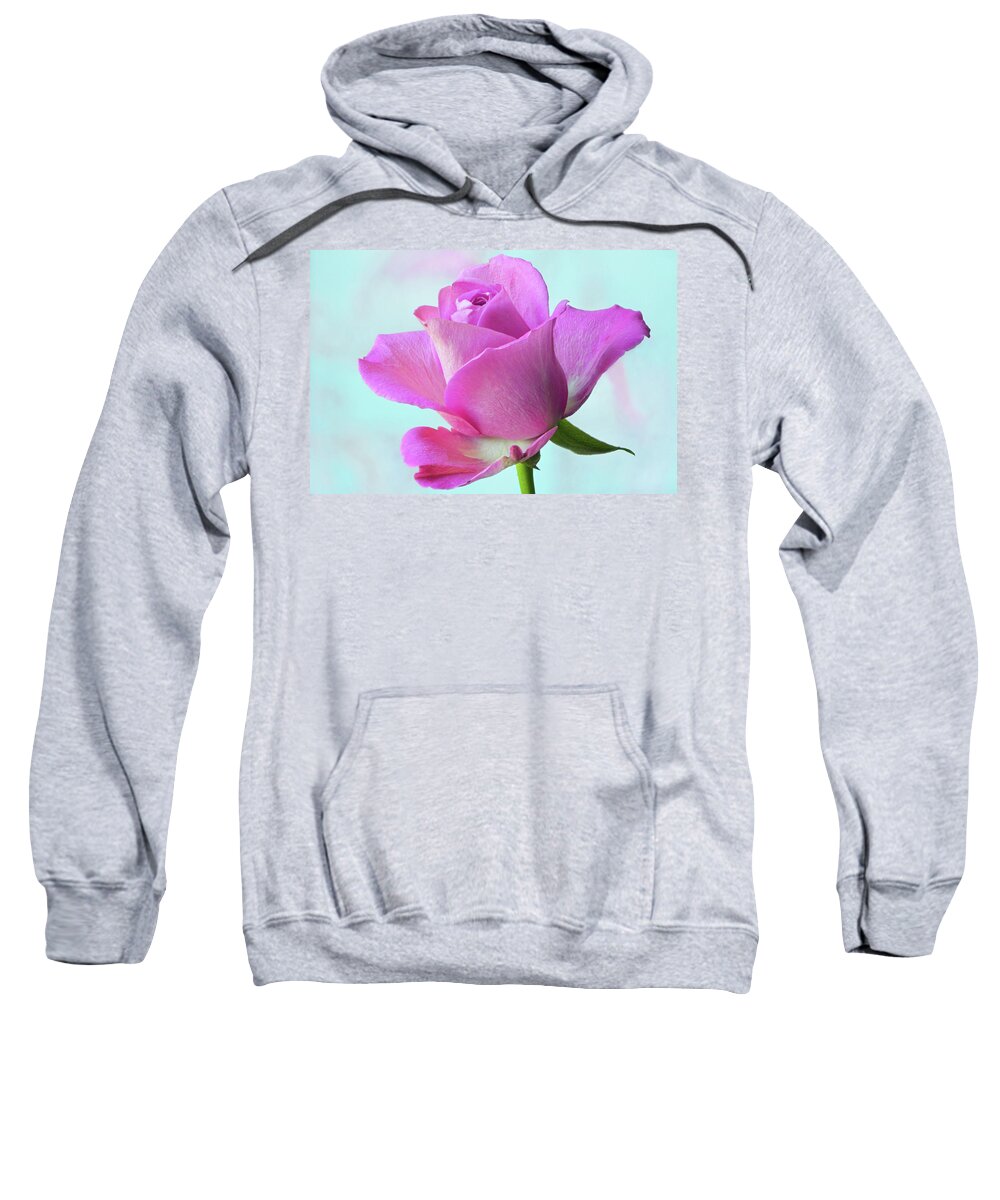 Pink Rose Sweatshirt featuring the photograph Pink Delight by Terence Davis