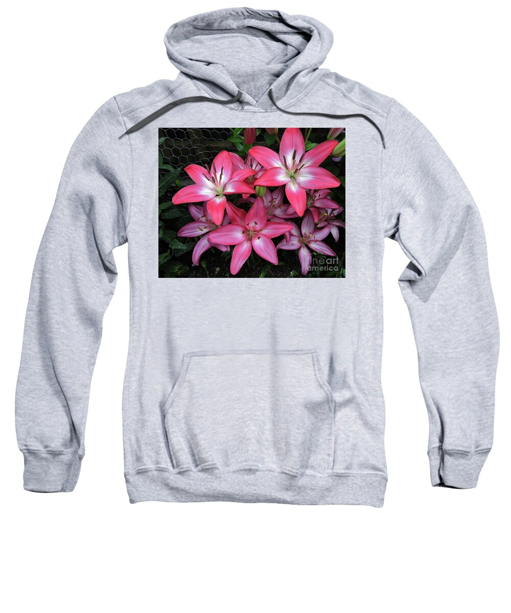  Flora Sweatshirt featuring the photograph Pink Lilies by Marcia Lee Jones