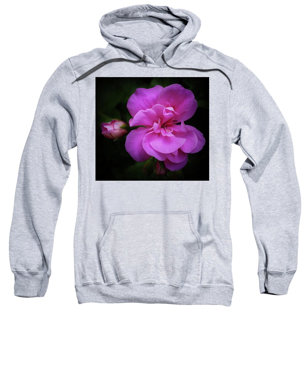 Pink Sweatshirt featuring the photograph Pink Rose Bloom and Bud Vignetted by James C Richardson