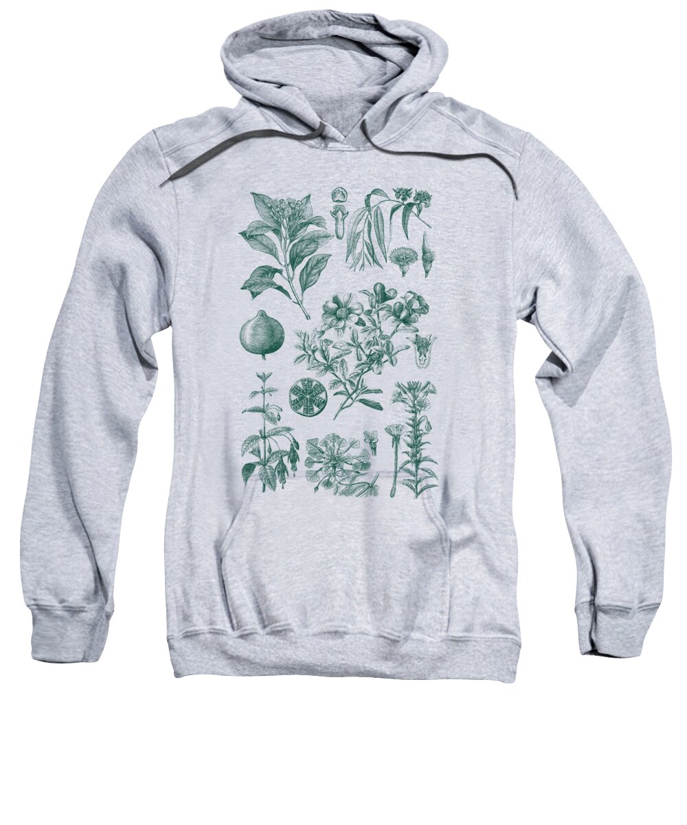 Fruit Sweatshirt featuring the digital art Plants And Fruits by Madame Memento