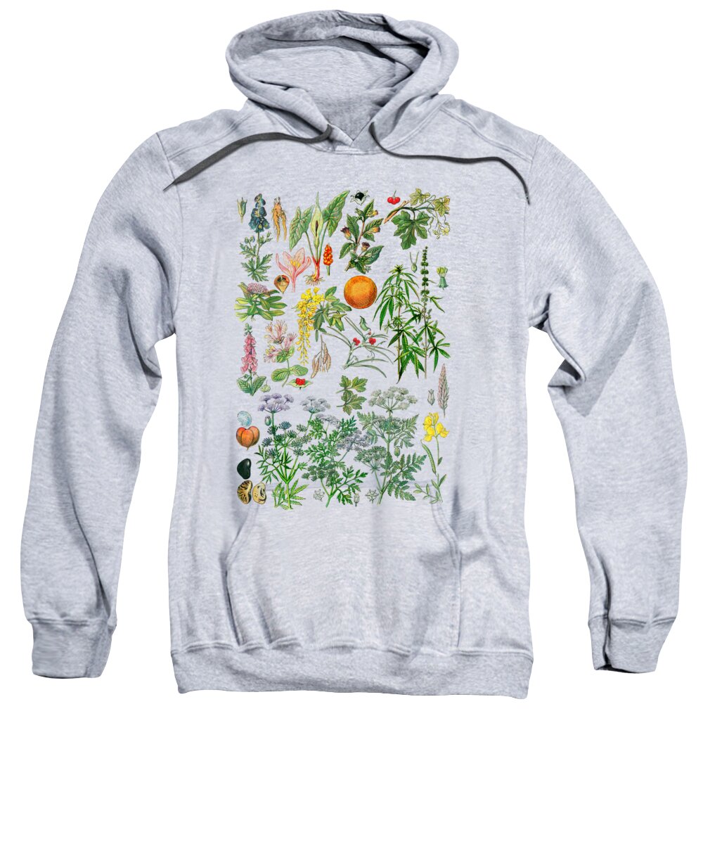 Botanical Sweatshirt featuring the digital art Plants And Weeds by Madame Memento