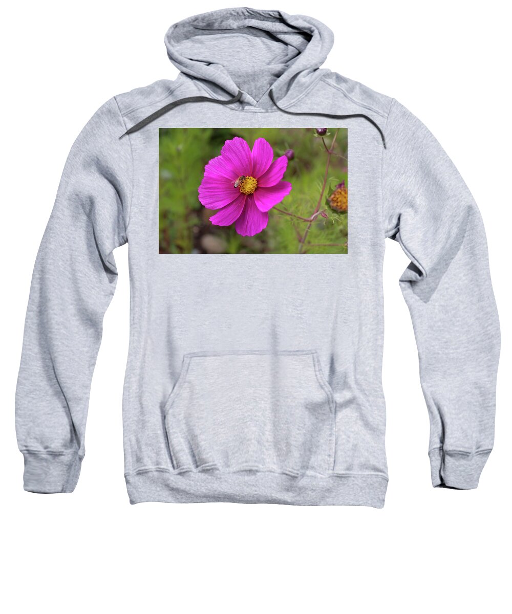 Bee Sweatshirt featuring the photograph Pollinate by Alison Frank