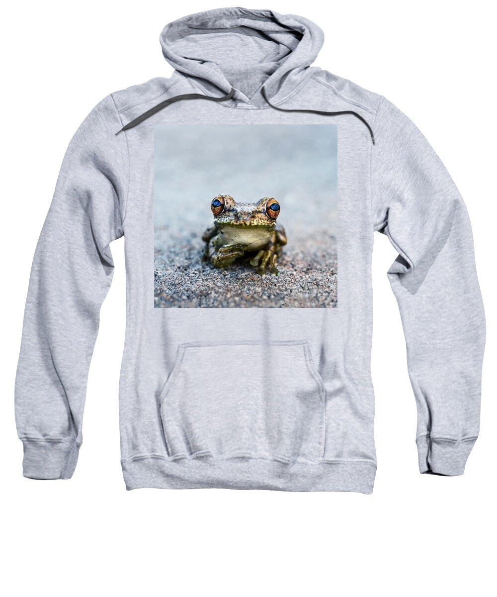 Frog Sweatshirt featuring the photograph Pondering Frog by Laura Fasulo