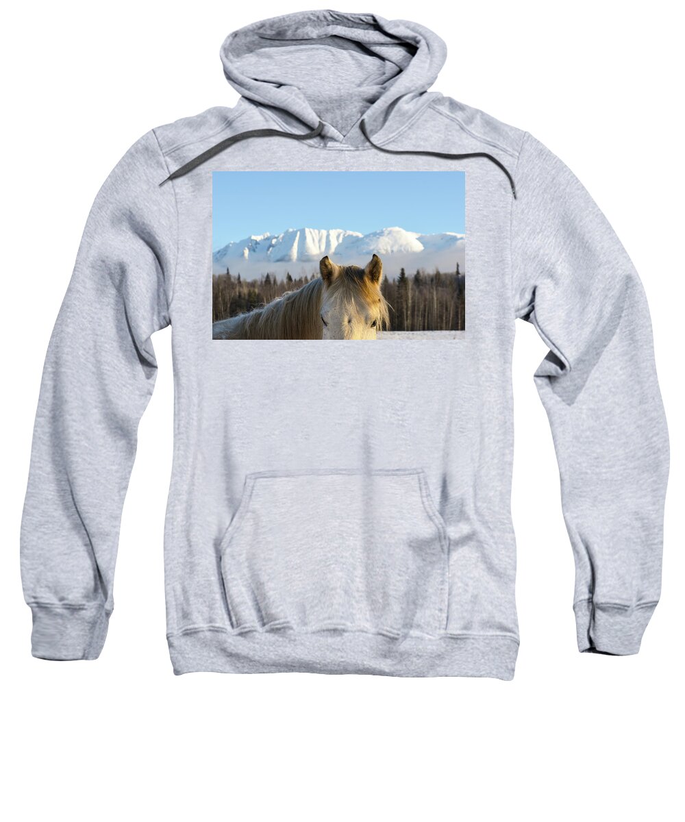 Winter Sweatshirt featuring the photograph Power from the Mountain by Listen To Your Horse