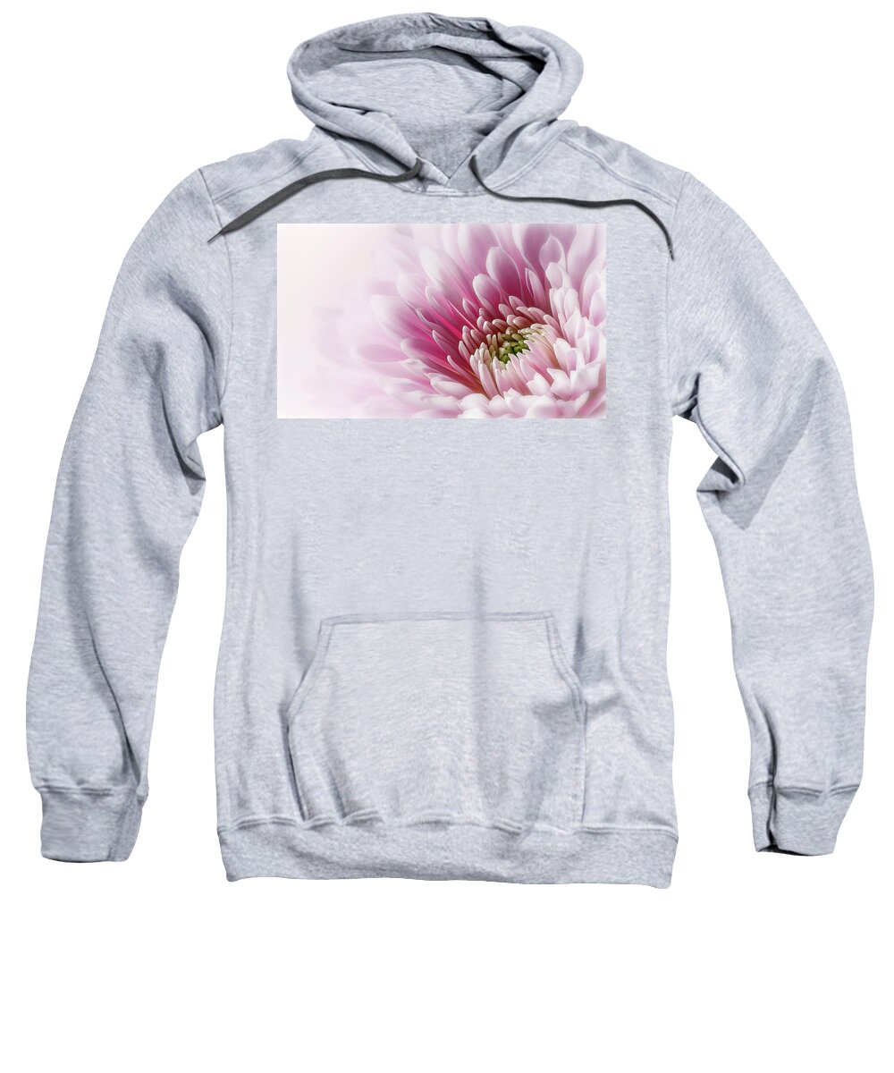 Pink Sweatshirt featuring the photograph Pretty in Pink by Paul Bartell
