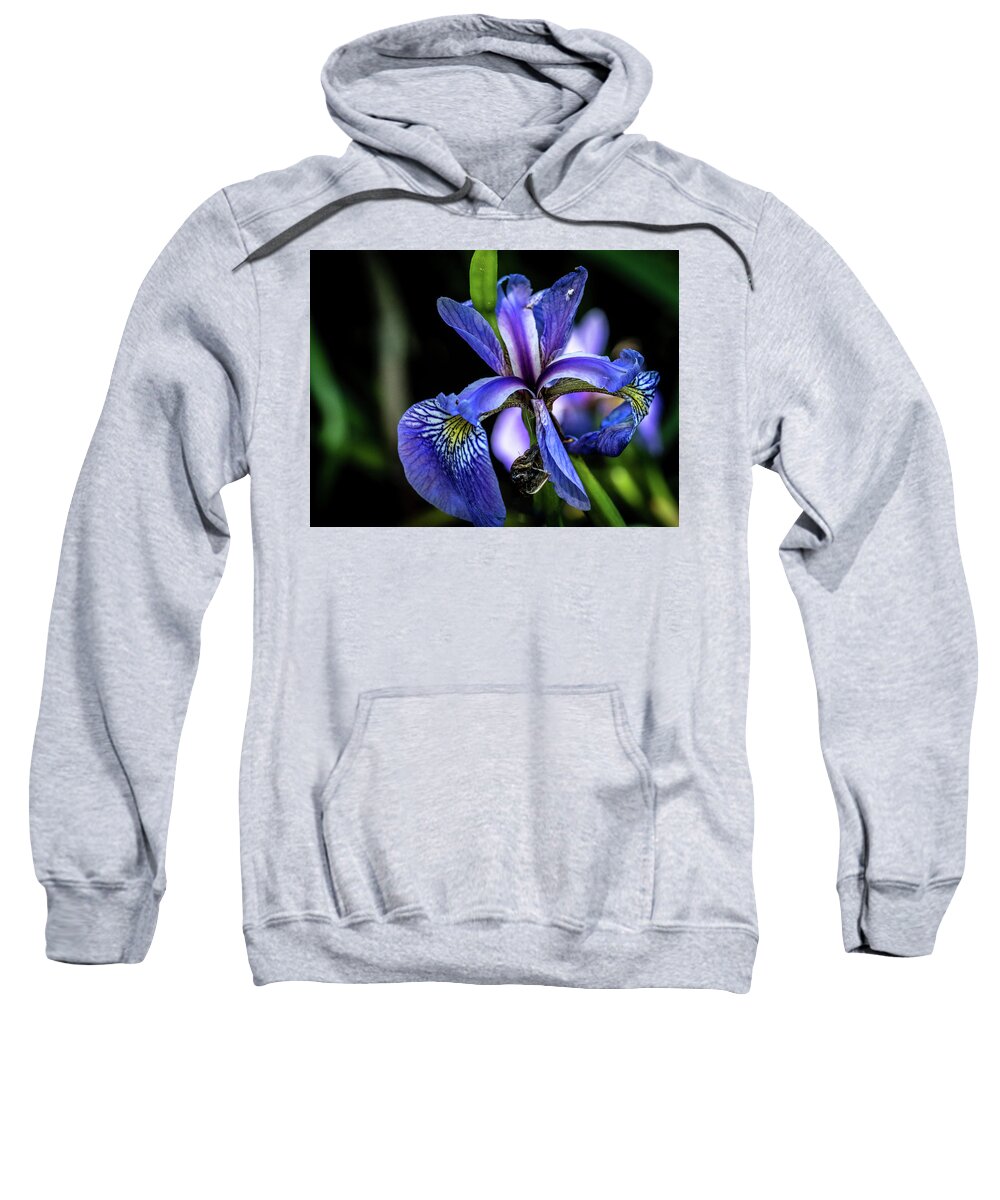 Closeup Sweatshirt featuring the photograph Purple Iris Flower by Louis Dallara