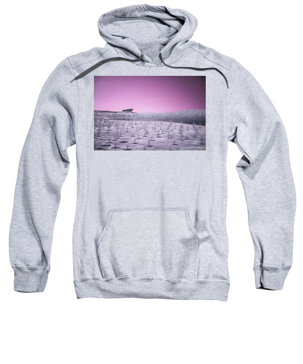 Canberra City Sweatshirt featuring the photograph Violet Dream by Ari Rex