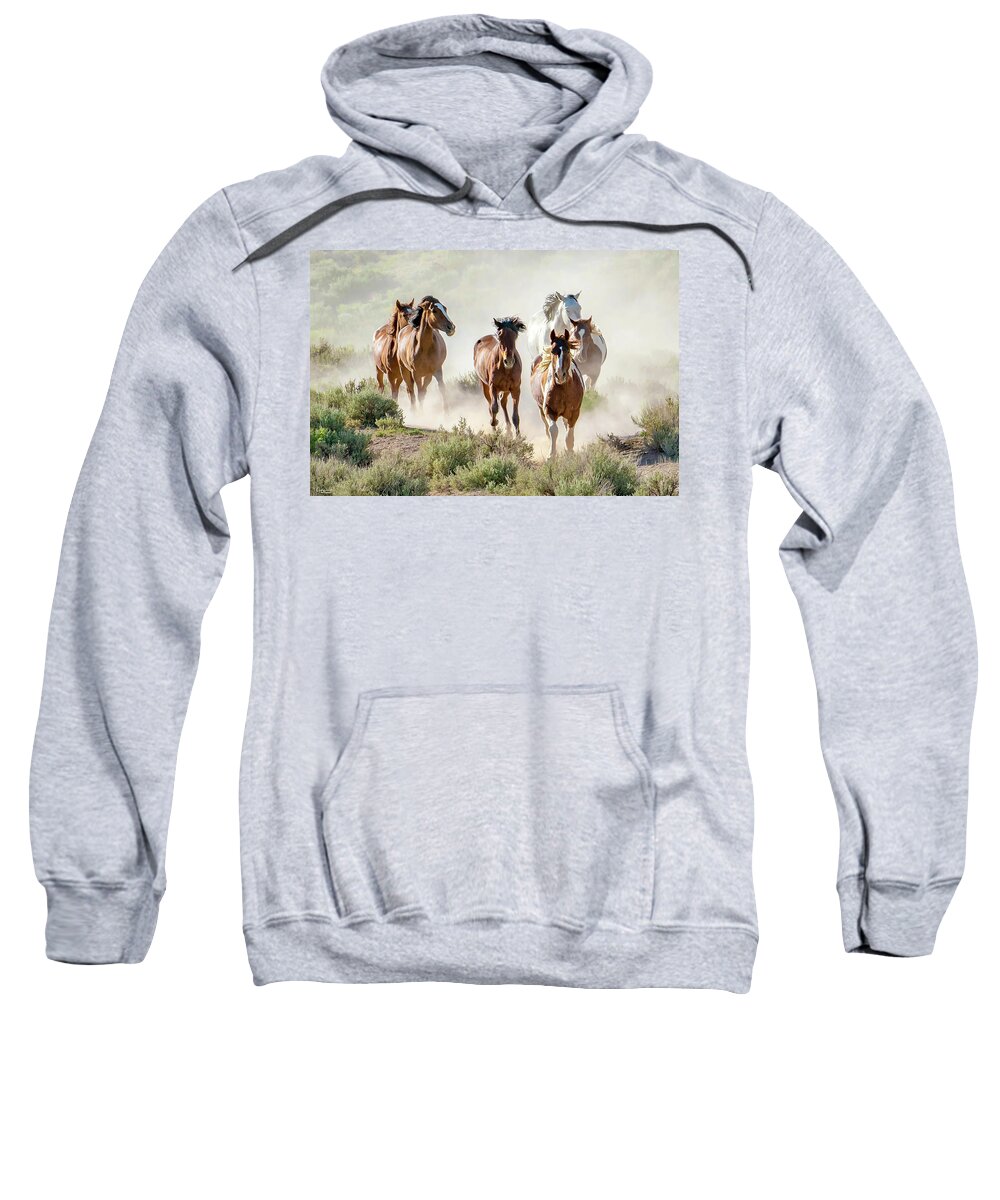 Horses Sweatshirt featuring the photograph Racing to the Water Hole by Judi Dressler