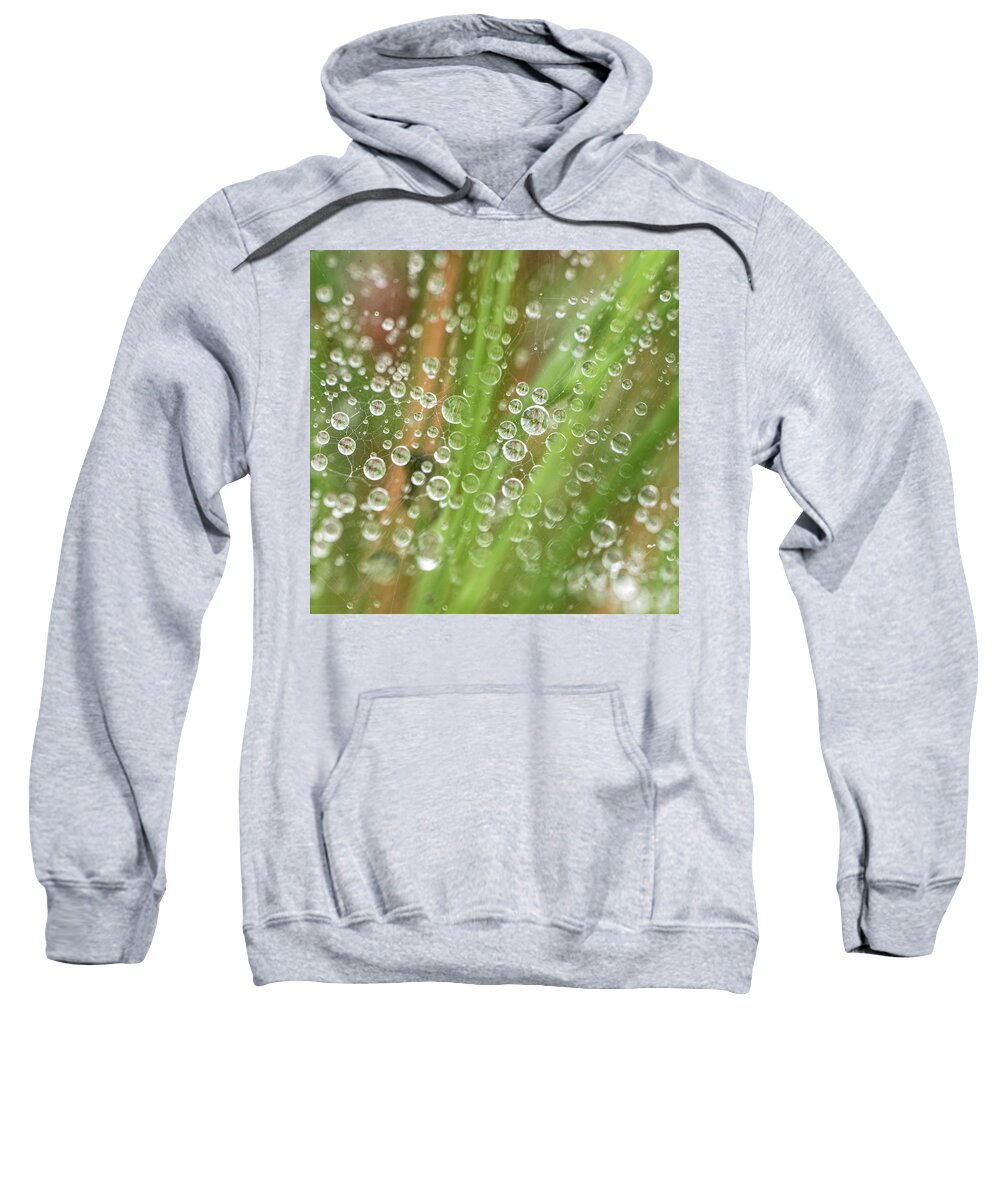 Rain Sweatshirt featuring the photograph Raindrops On A Web Net by Karen Rispin
