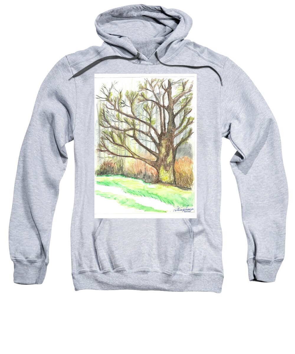 Trees Sweatshirt featuring the painting Reaching by Patricia Arroyo