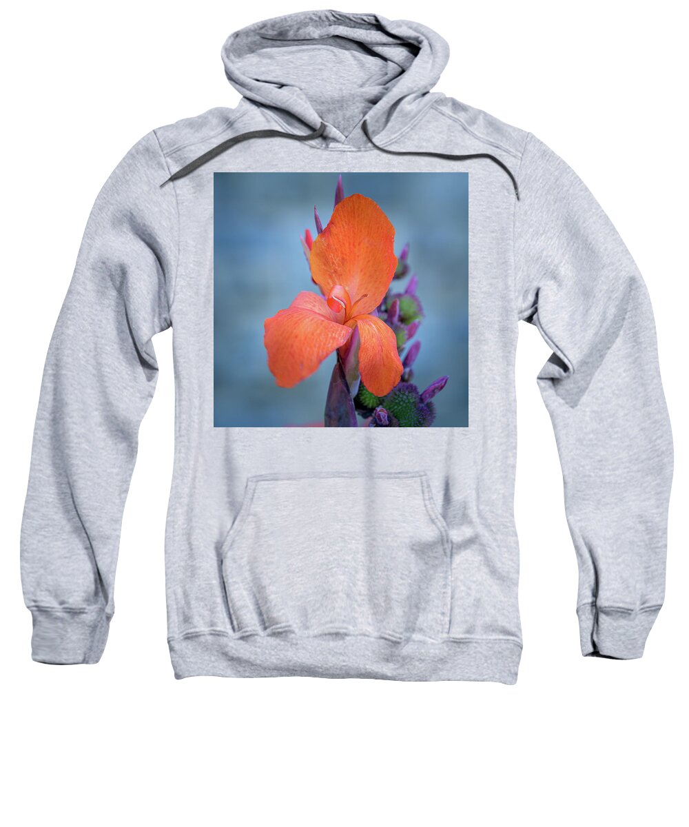 Plants Sweatshirt featuring the photograph Red Canna Lily by Frank Mari