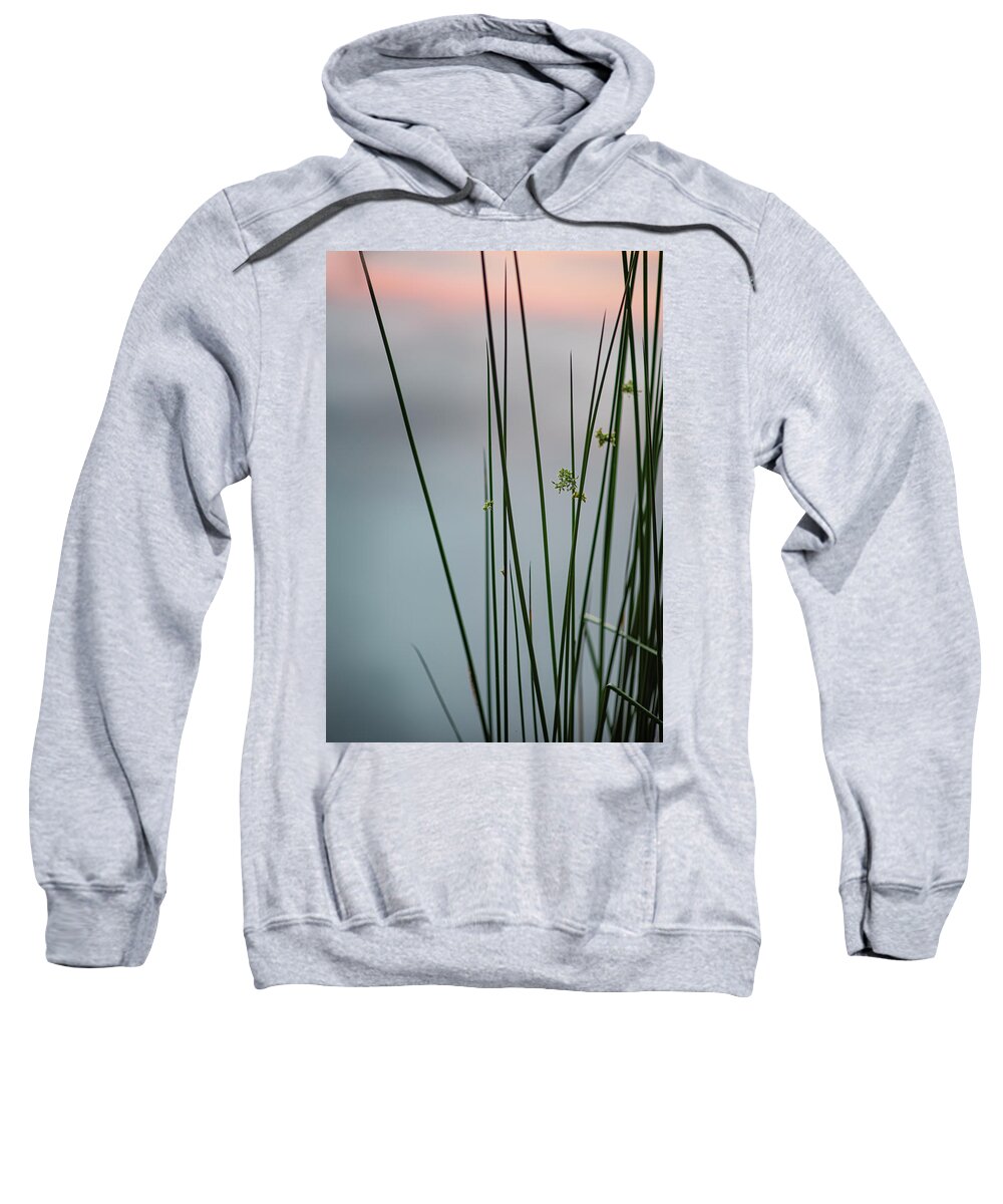 Reed Sweatshirt featuring the photograph Reeds By A Pond by Karen Rispin