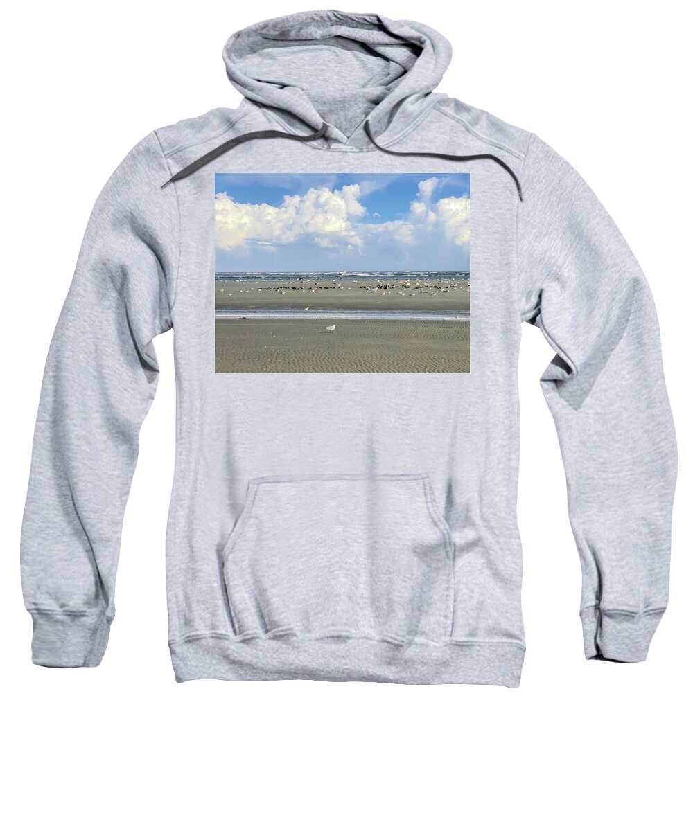 Clouds Sweatshirt featuring the photograph Resting Shorebirds by Patricia Schaefer