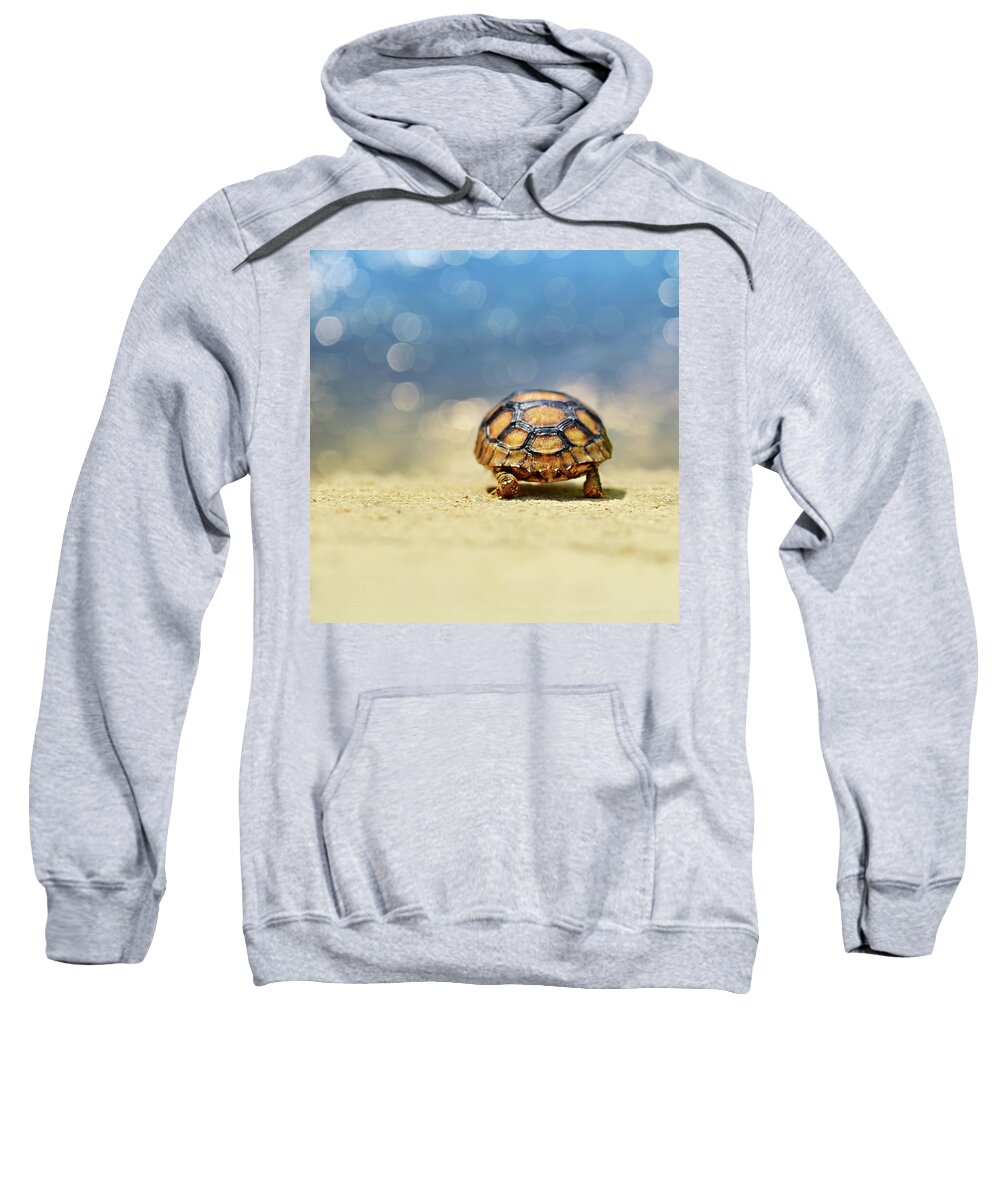 Animal Sweatshirt featuring the photograph Road Warrior by Laura Fasulo