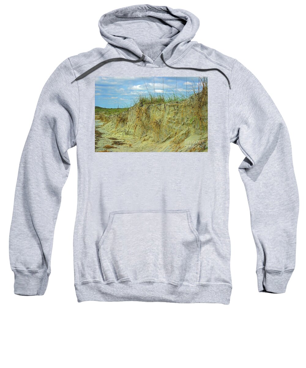 Roots Sweatshirt featuring the photograph Rooted and Grounded Sand Dunes by Roberta Byram