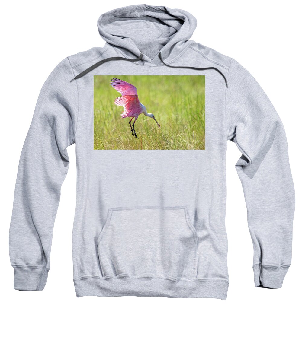Roseate Spoonbill Sweatshirt featuring the photograph Roseate Spoonbill by Linda Shannon Morgan