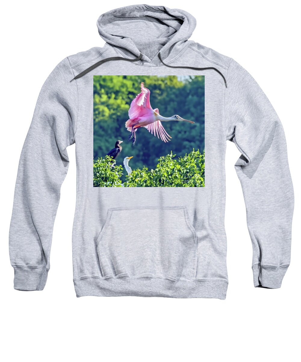 Bird Sweatshirt featuring the photograph Roseate Spoonbill in Flight by Tom Watkins PVminer pixs