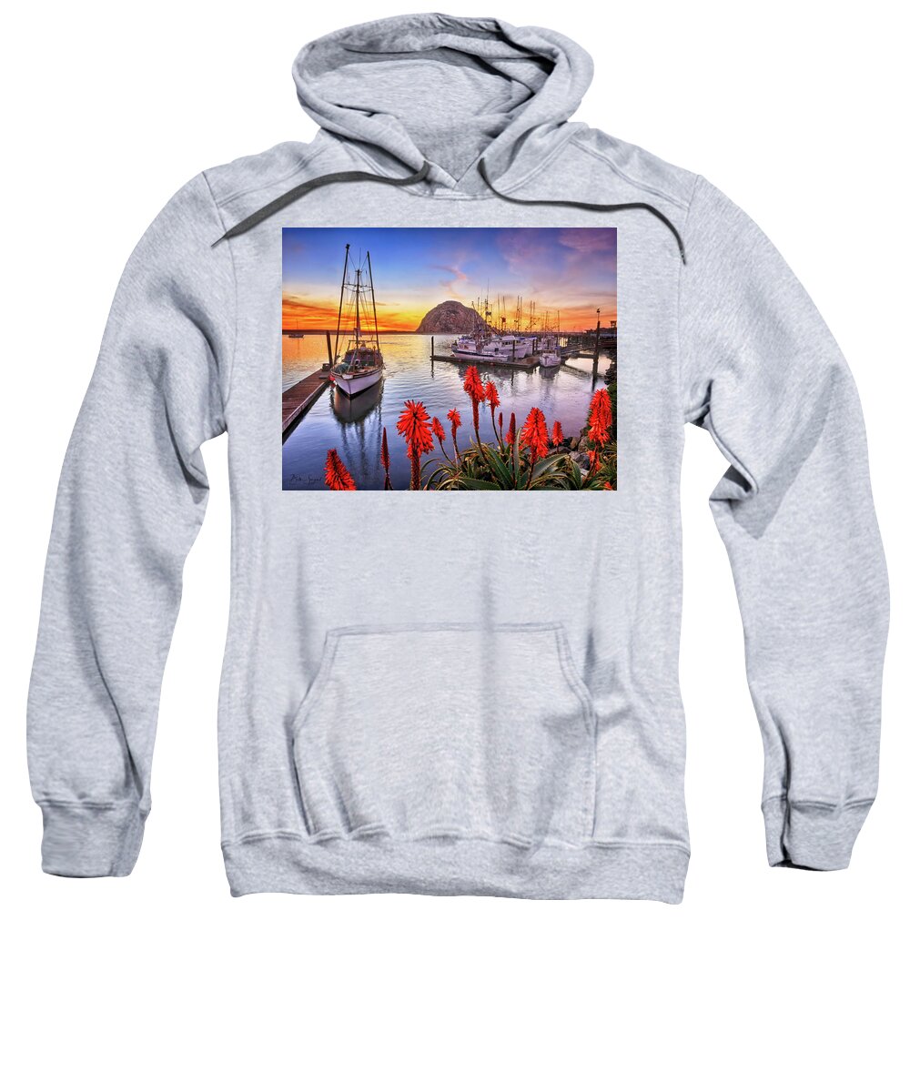 Reflections Sweatshirt featuring the photograph Safe Haven by Beth Sargent