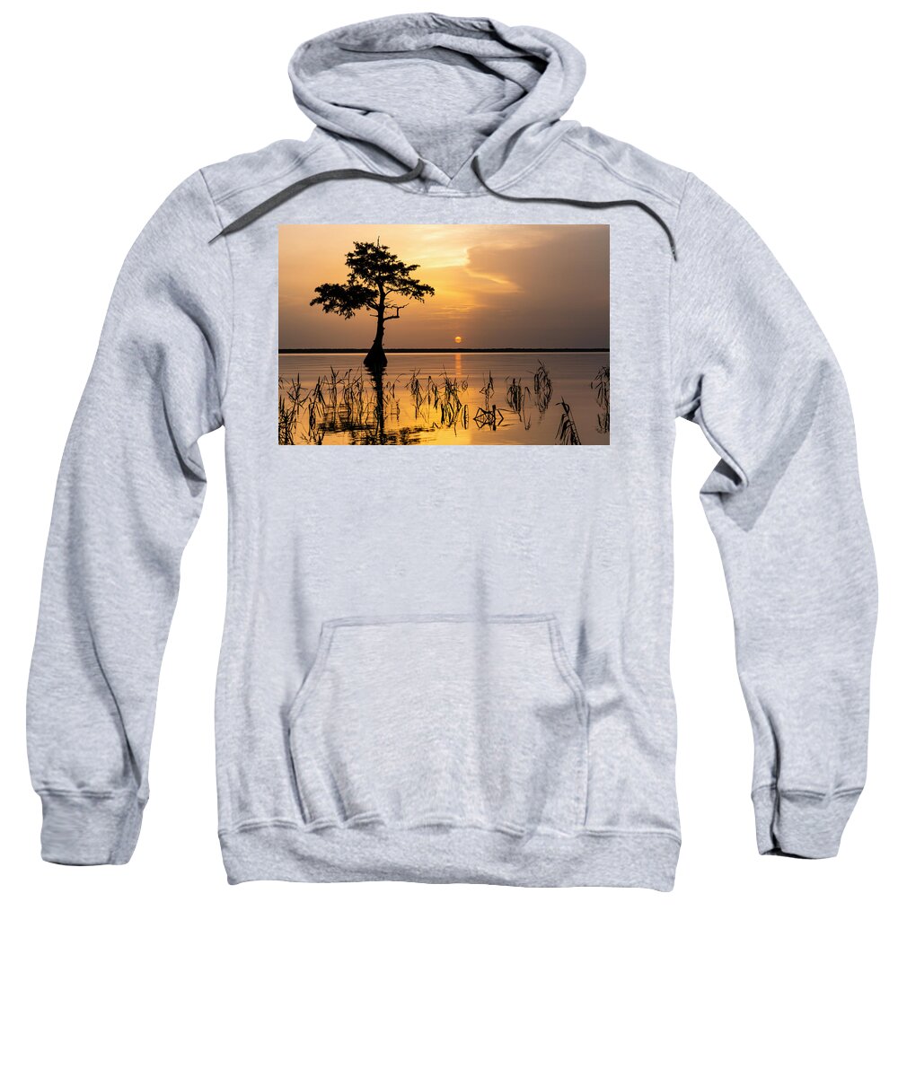 James Ferrara Sweatshirt featuring the photograph Saharan Sky Cypress II by Todd Tucker
