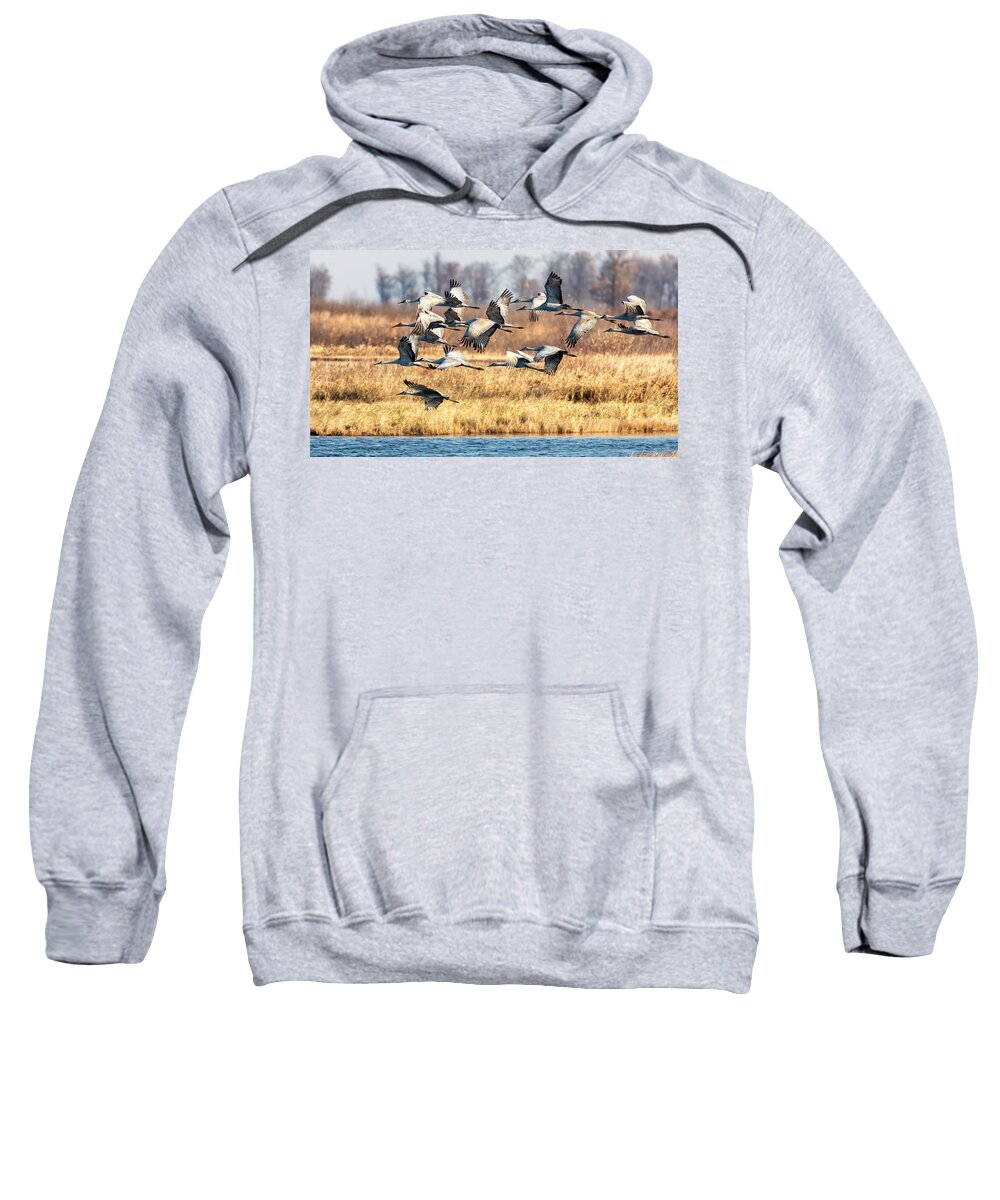 Sandhill Sweatshirt featuring the photograph Sandhill Cranes by Al Mueller
