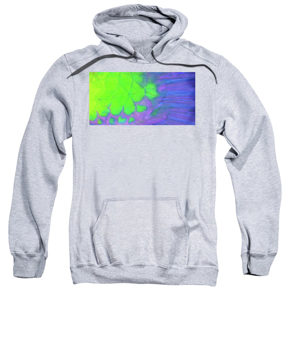 Parrotfish Sweatshirt featuring the photograph Scales in green and purple by Artesub
