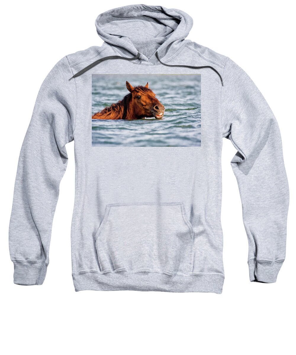 Seahorse Sweatshirt featuring the photograph Sea Horse by Bob Decker