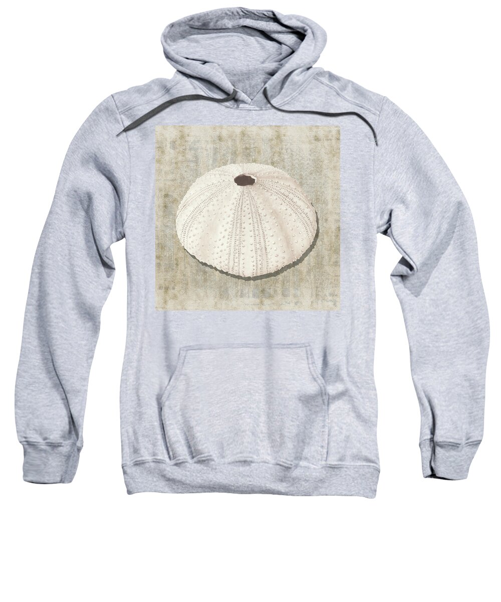 Shell Sweatshirt featuring the painting Sea Urchin II with gold distressed background by Nikita Coulombe