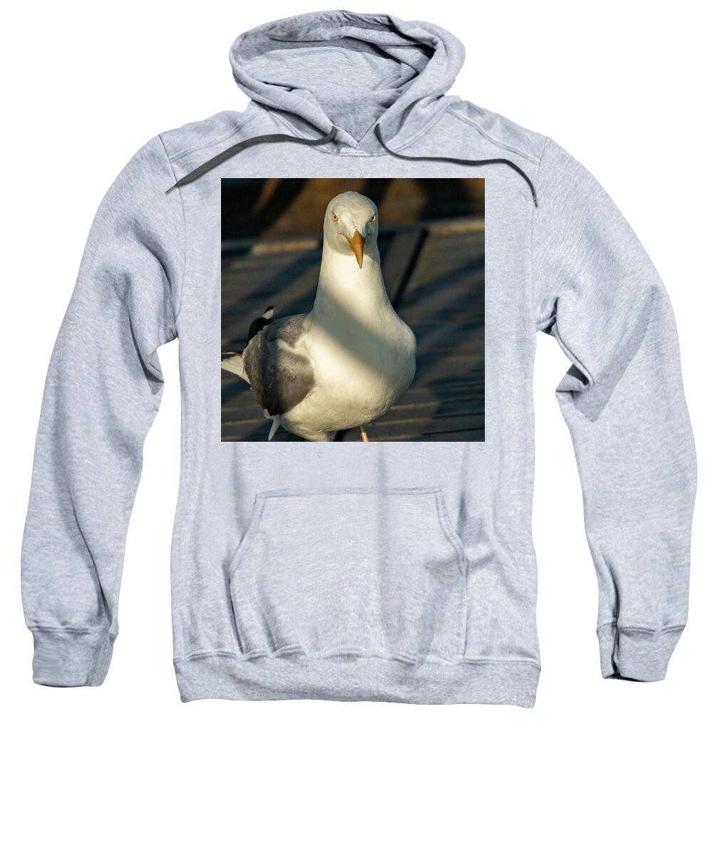 Bird Sweatshirt featuring the photograph SeaGull by William Bretton