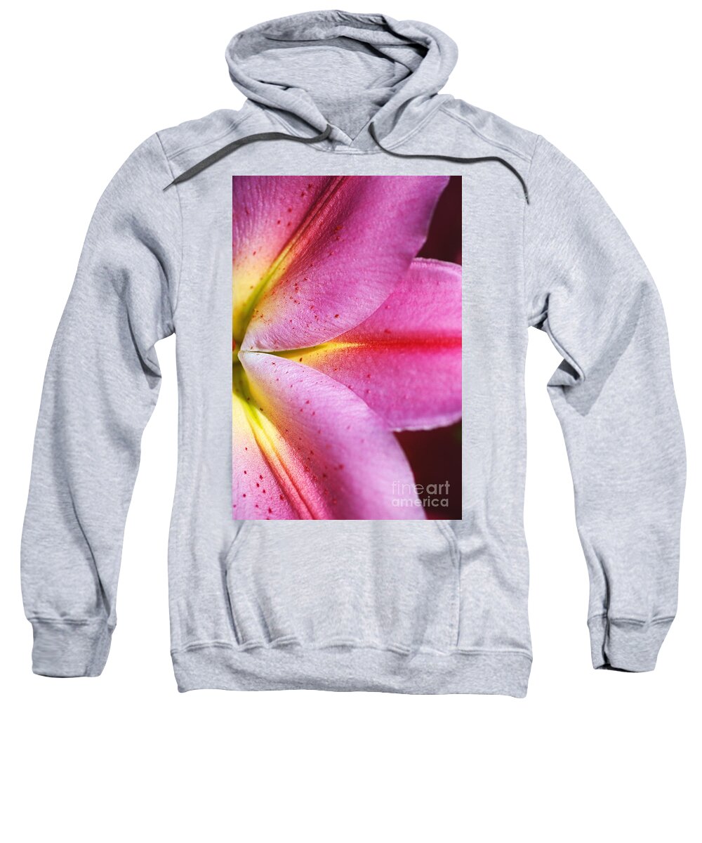Pink Lily Sweatshirt featuring the photograph Shapes Of Lily by Joy Watson