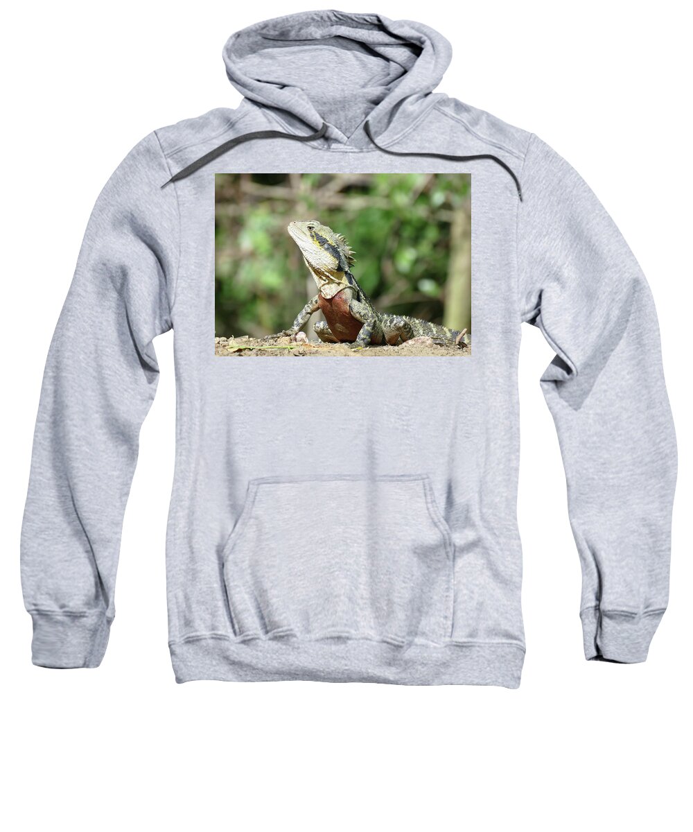 Animals Sweatshirt featuring the photograph Showing off by Maryse Jansen