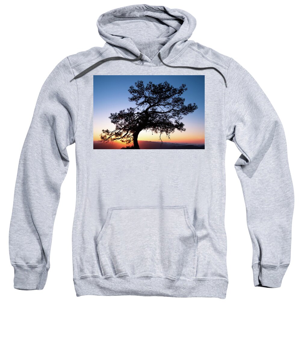 Cyprus Sweatshirt featuring the photograph Silhouette of a forest pine tree during blue hour with bright sun at sunset. by Michalakis Ppalis