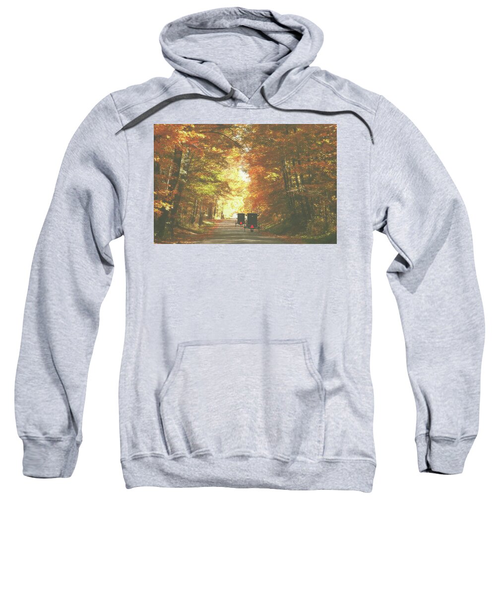 Fall Sweatshirt featuring the photograph Simplicity by Carrie Ann Grippo-Pike