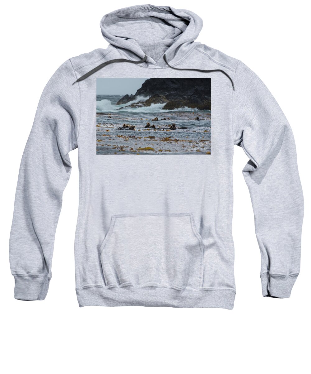 Animal Sweatshirt featuring the photograph Sitka Sea Otter Family by Nancy Gleason