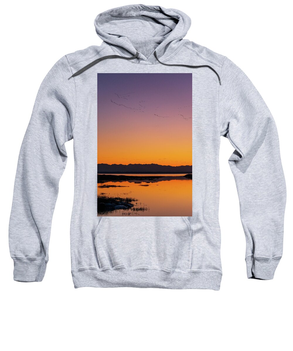Outdoor; Migration; Goose; Geese; Snow Geese; Fly; Avian; Storm; Waterfowl; Home Coming; Water; Wet Land; Meadow; Skagit Valley Sweatshirt featuring the digital art Snow geese's home coming in Skagit Valley by Michael Lee