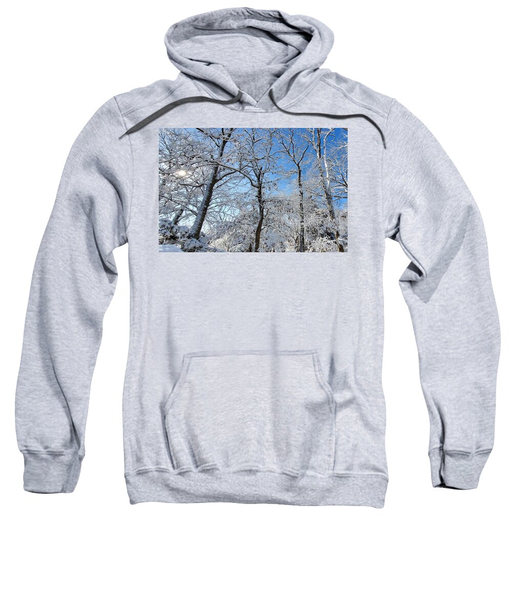 Snow Covered Sweatshirt featuring the photograph Snowy Trees and Blue Sky by Stacie Siemsen