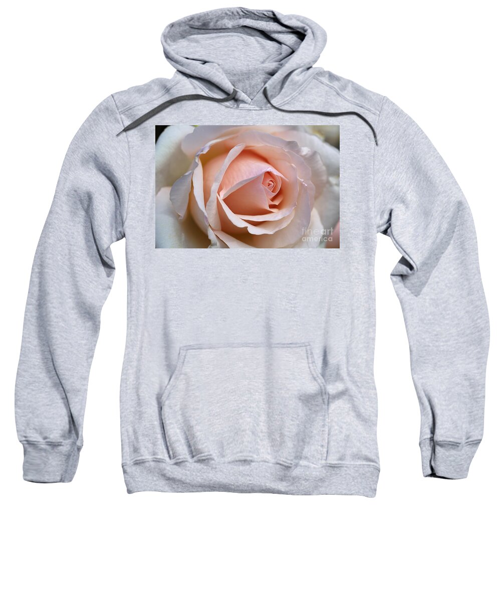 Floribunda Rose Sweatshirt featuring the photograph Soft Rose by Joy Watson