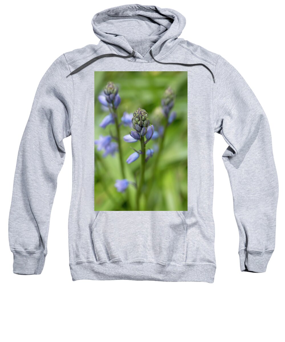 Flower Sweatshirt featuring the photograph Spanish Bluebells 2 by Dawn Cavalieri