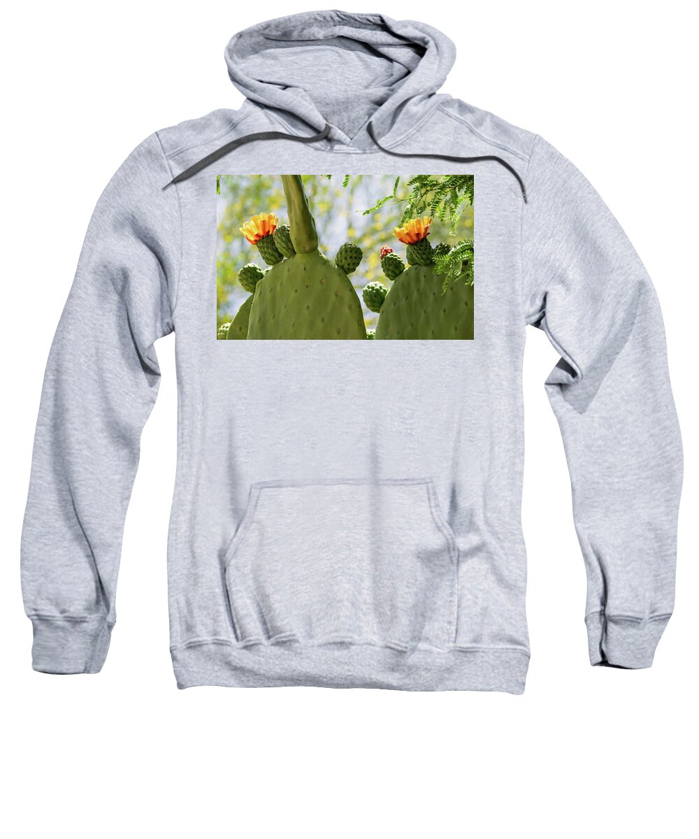 Cactus Sweatshirt featuring the photograph Spineless Prickly Pear Cactus Blooms by Marianne Campolongo