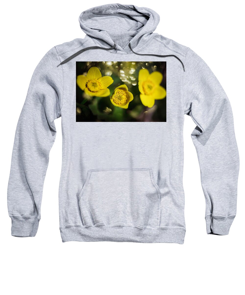  Sweatshirt featuring the photograph Sping Sunnies by Nicole Engstrom