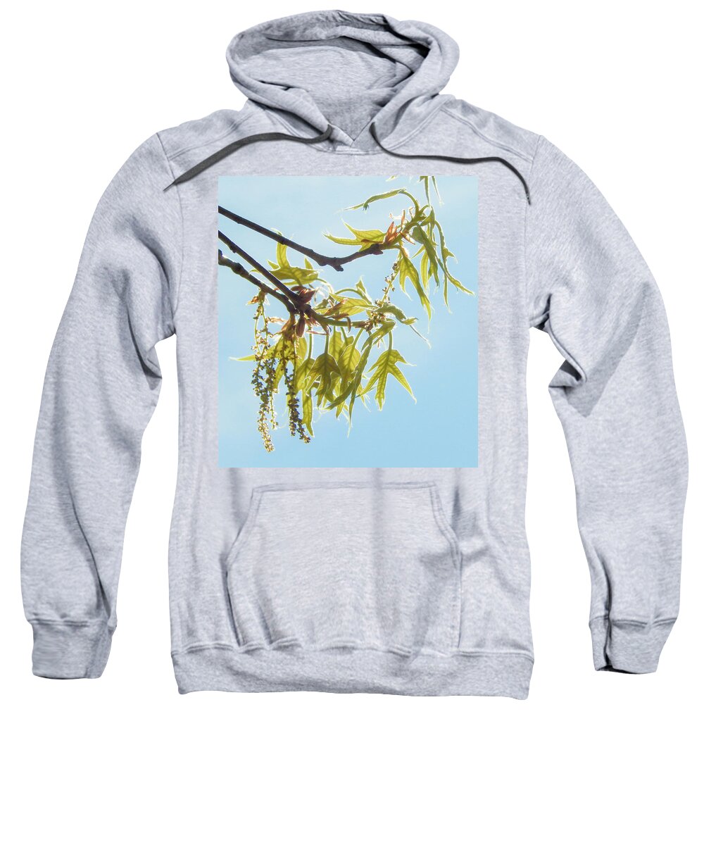Spring Sweatshirt featuring the photograph Spring Oak Leaves by Karen Rispin