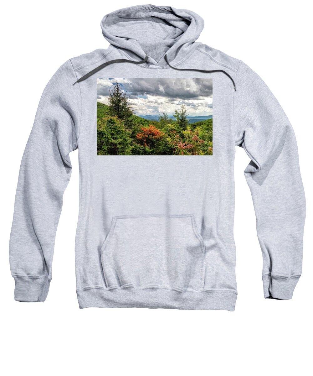 Grayson Highlands Sweatshirt featuring the photograph Spring on The Mountain by C Renee Martin