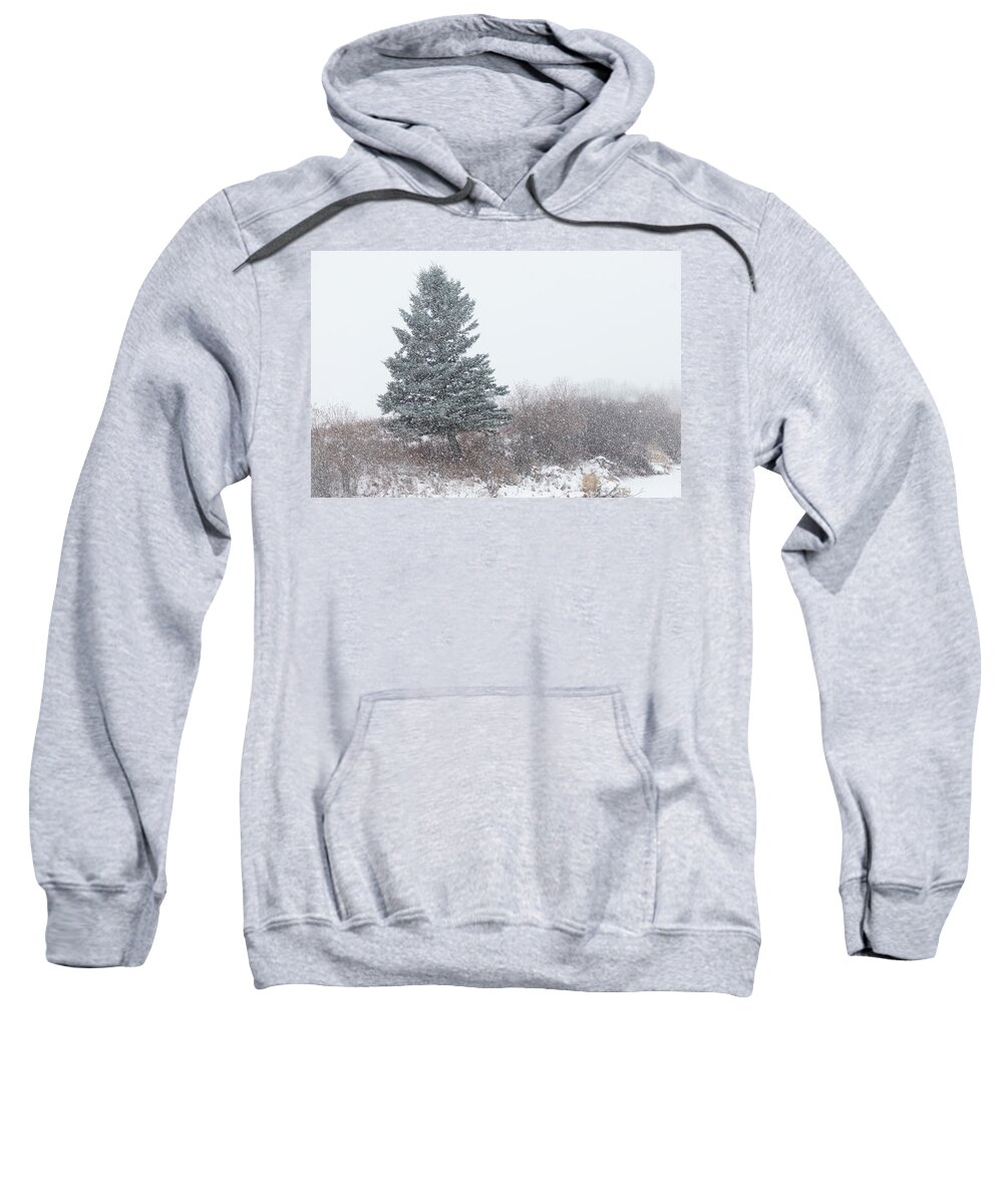 Snow Sweatshirt featuring the photograph Spruce tree on a snowy day by Karen Rispin