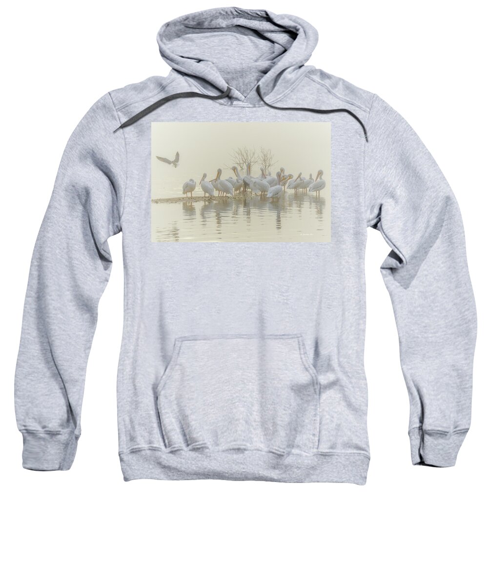 White Sweatshirt featuring the photograph Squadron in the Fog by Christopher Rice